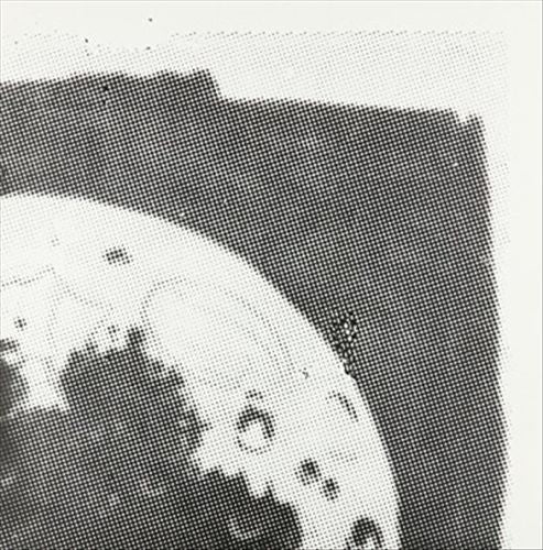 Lot to Share cover art