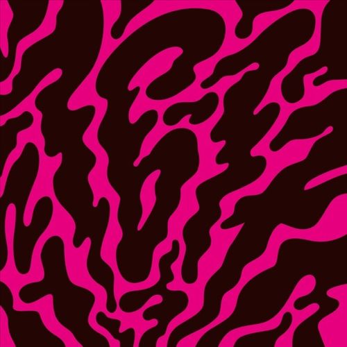 Phantom Limb cover art