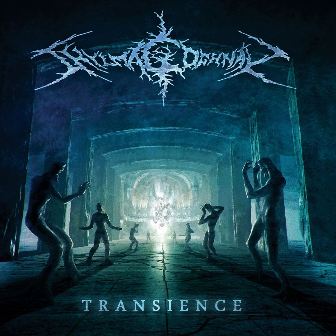 Transience cover art