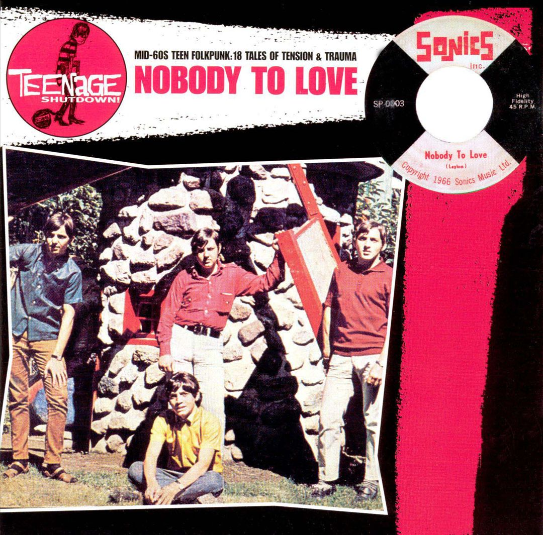 Teenage Shutdown: Nobody to Love cover art