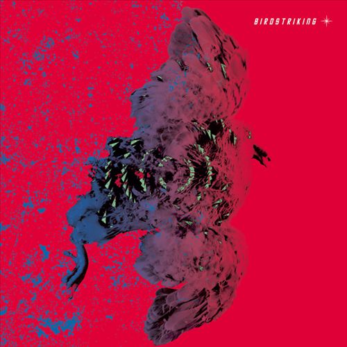 Birdstriking cover art