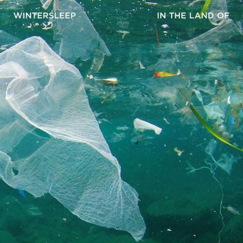 In the Land Of cover art