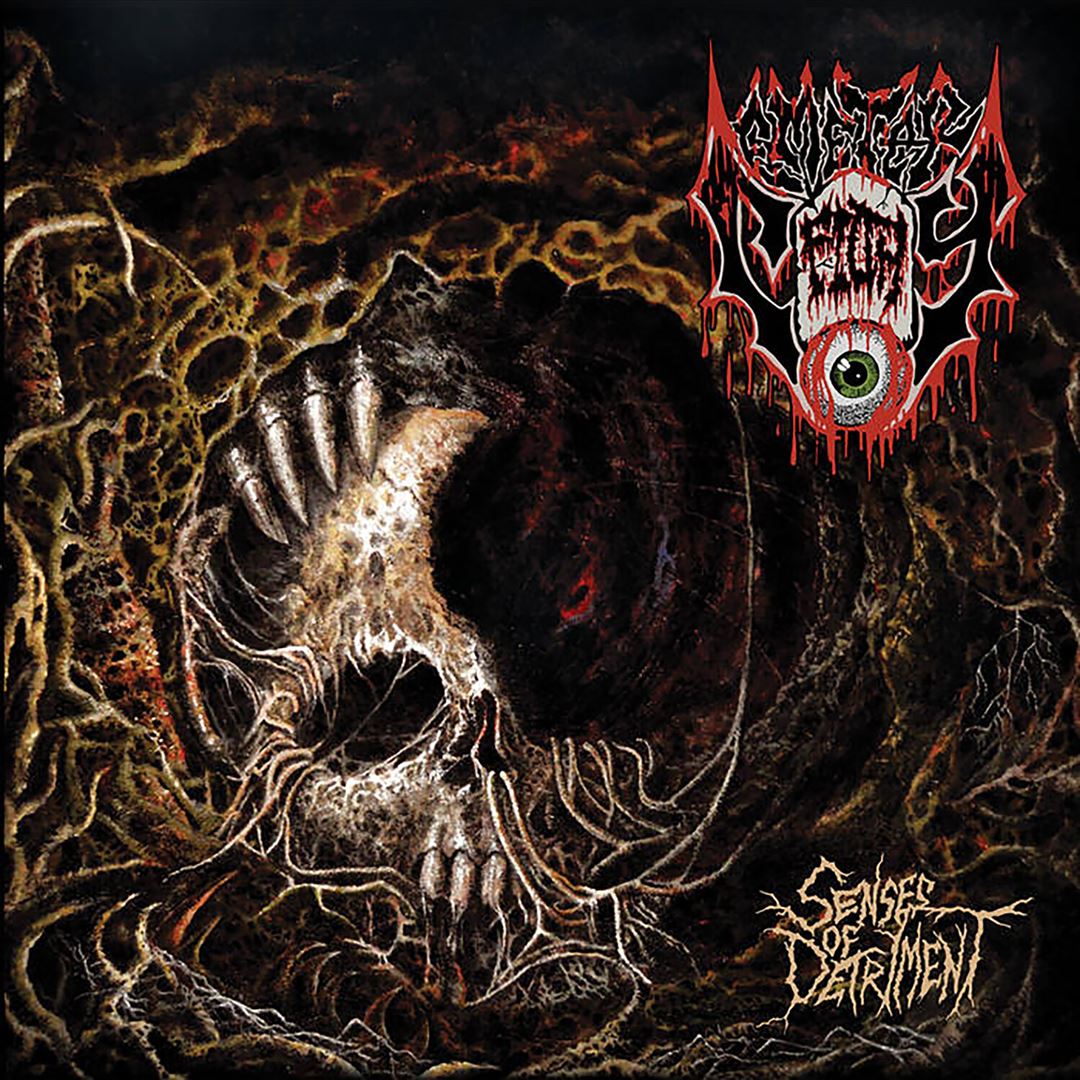 Senses of Detriment cover art