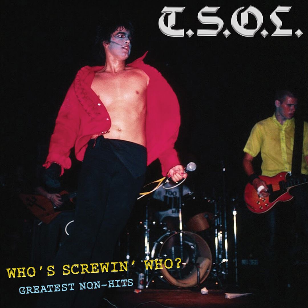 Who's Screwing Who 12: Greatest Non-Hits cover art