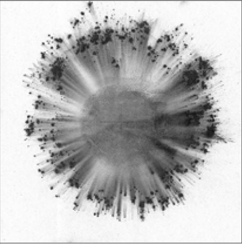 Obverse cover art