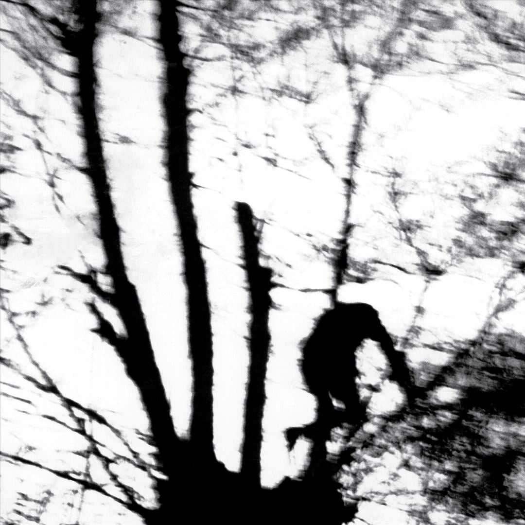 Camouflage Heart cover art