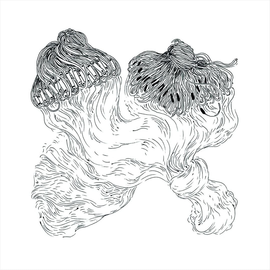 Licao 2: Dorival cover art