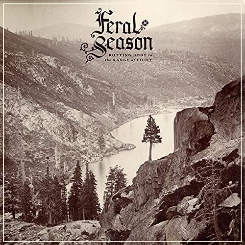 Rotting Body in the Range of Light cover art