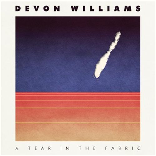 Tear In the Fabric cover art