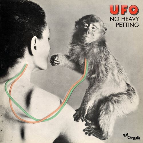 No Heavy Petting cover art