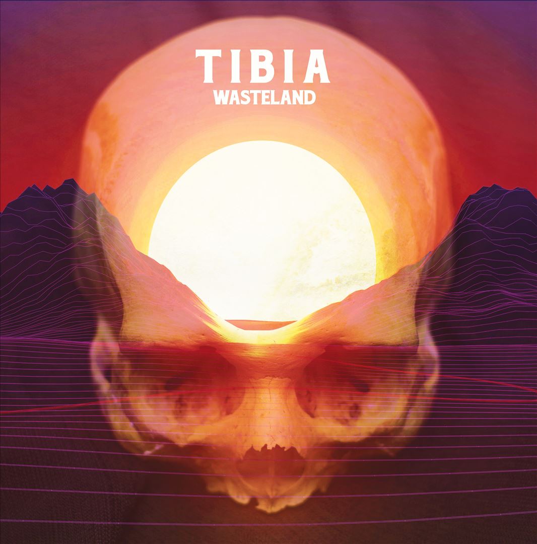 Wasteland cover art
