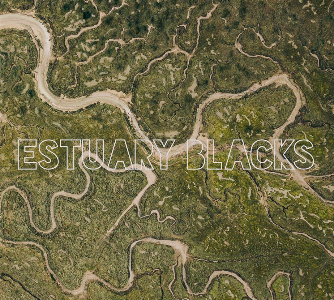 Estuary Blacks [Colored Vinyl] cover art