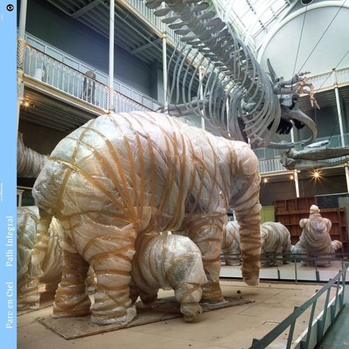 Path Integral cover art