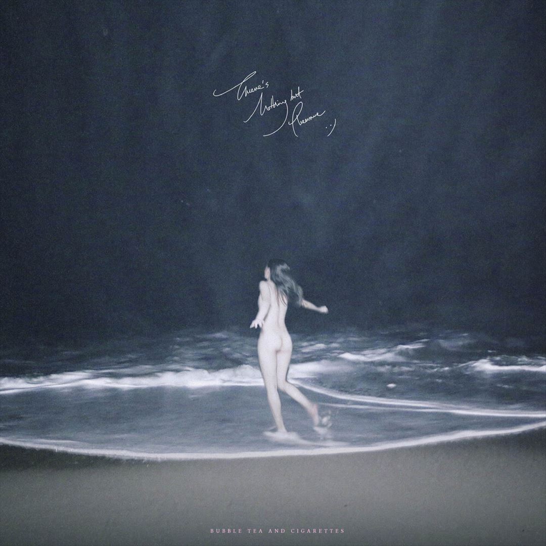 There's Nothing But Pleasure cover art