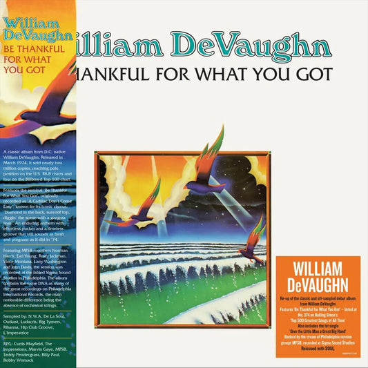 Be Thankful for What You Got cover art