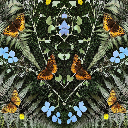 Aubades cover art