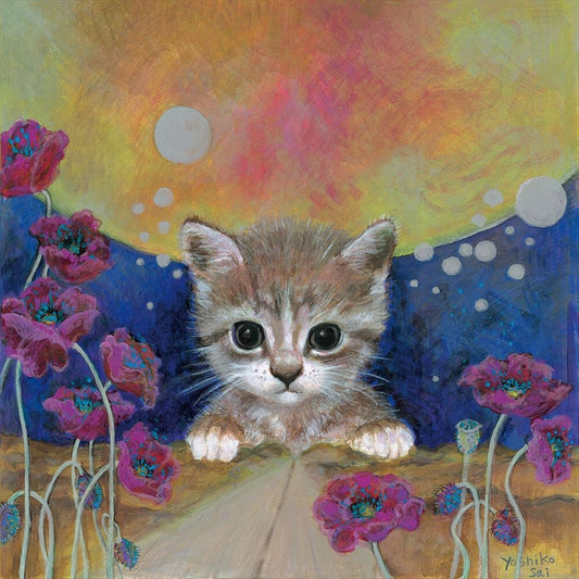 Live at Shibuya O-Nest cover art