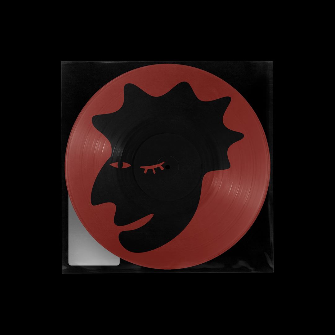 AIN'T NO DAMN WAY! [Picture Disc] cover art