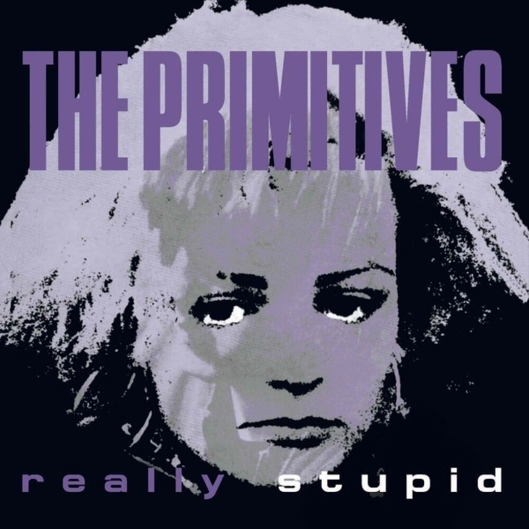 Really Stupid cover art