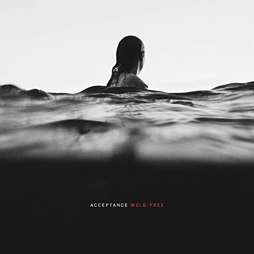 Wild, Free cover art