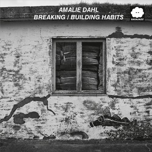 Breaking/Building Habits cover art
