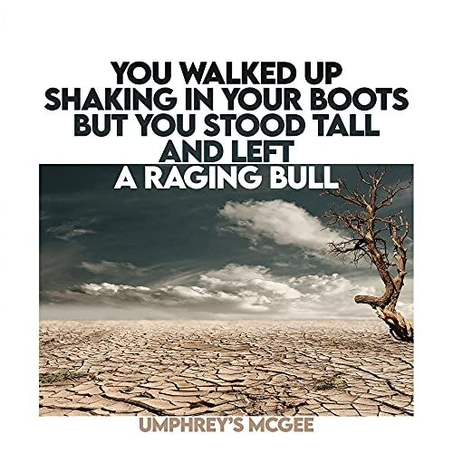 You Walked Up Shaking in Your Boots But You Stood Tall and Left a  Raging Bull cover art