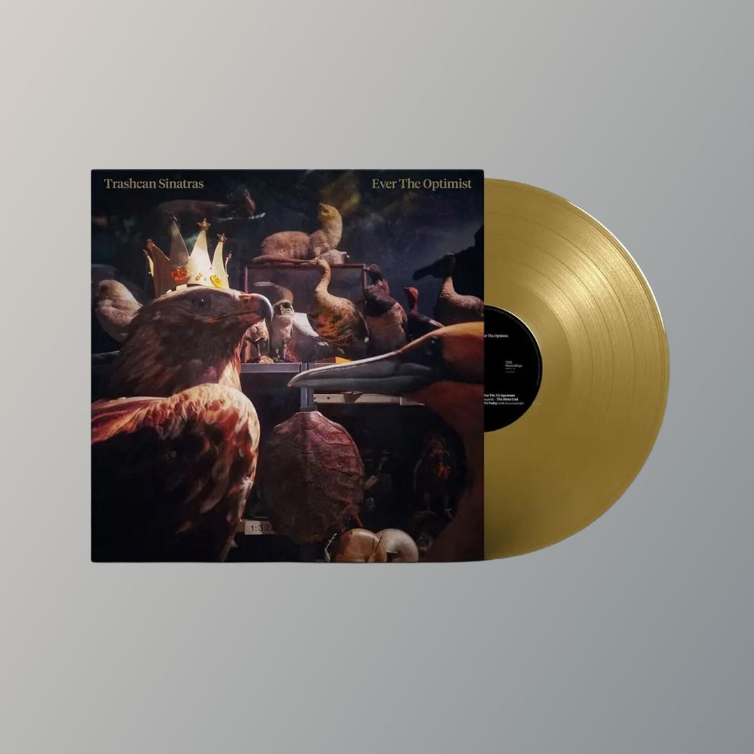 Ever the Optimist cover art