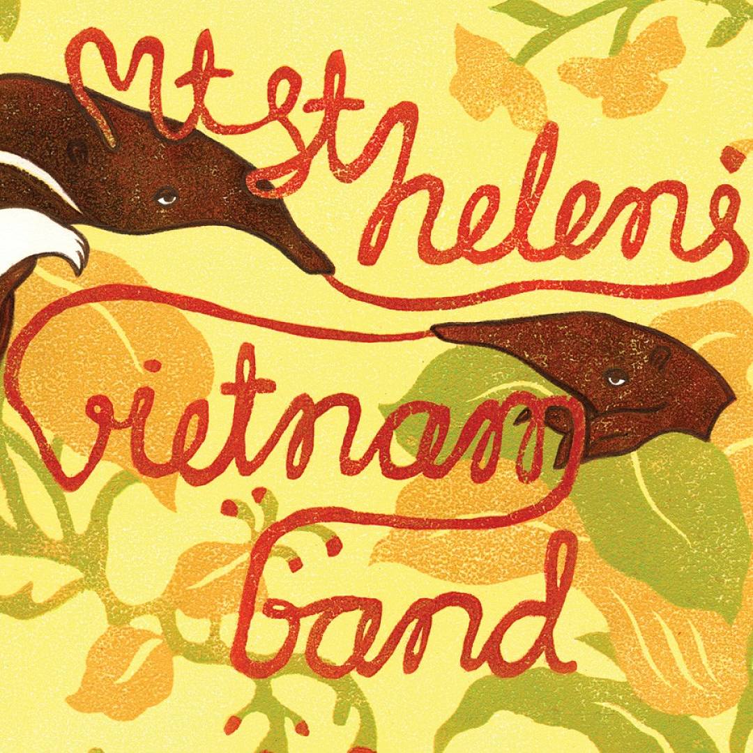 Mt. St. Helens Vietnam Band cover art