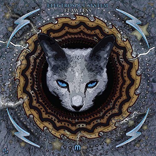 Flawless cover art