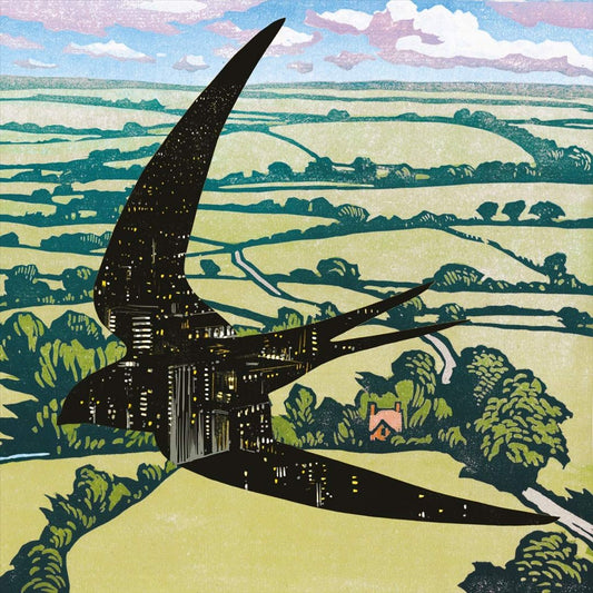 Sleep on the Wing cover art