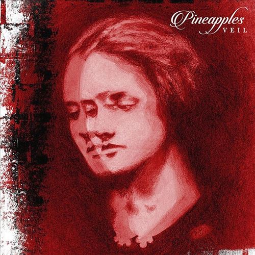 Veil cover art
