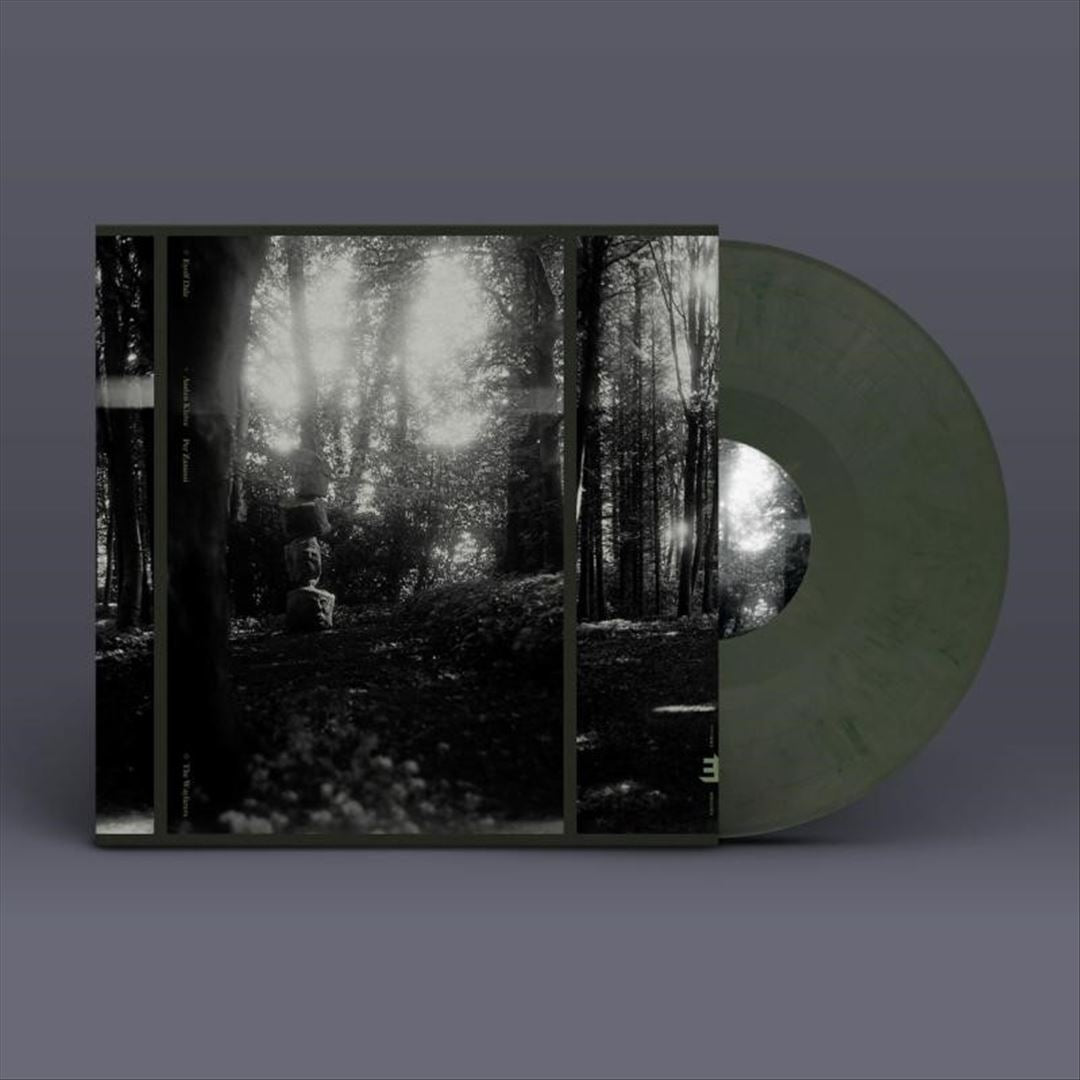 Wayfarers cover art