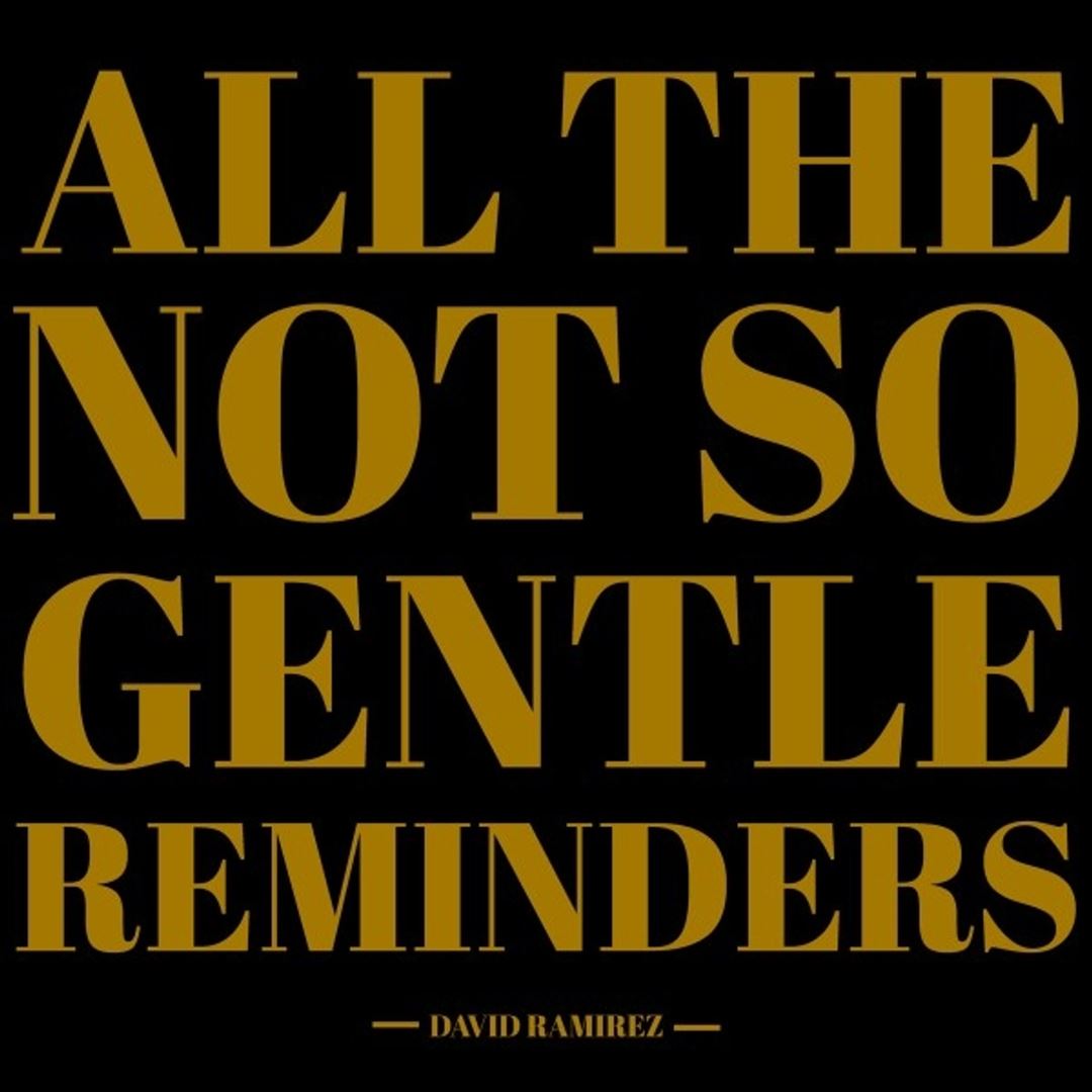 All the Not So Gentle Reminders cover art