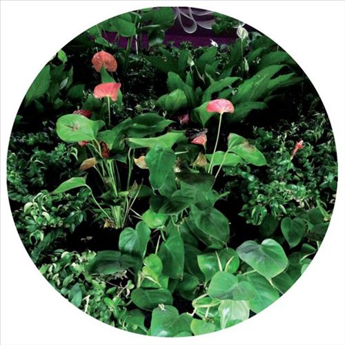 Underworld cover art