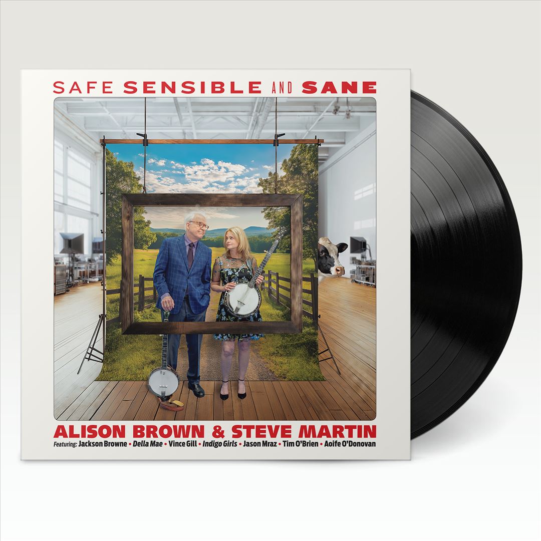 Safe, Sensible and Sane cover art