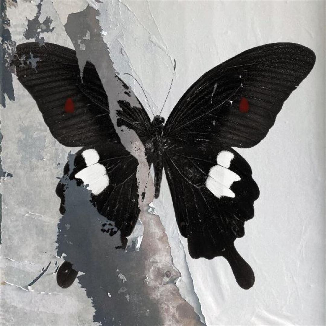 Paradise Now cover art