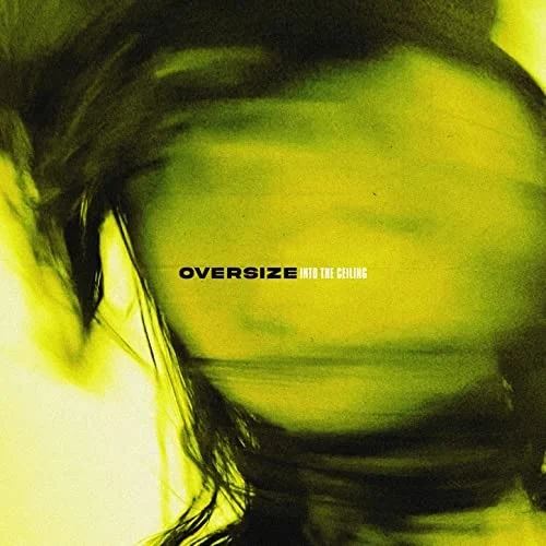 Into the Ceiling cover art