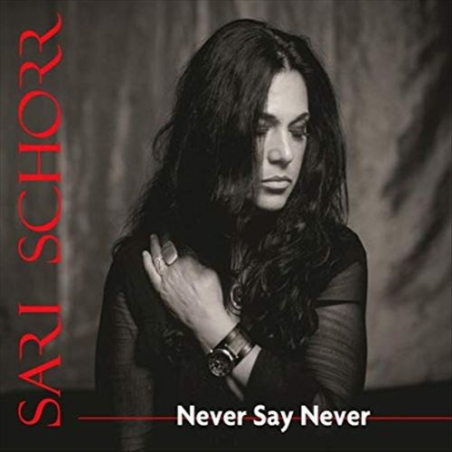 Never Say Never cover art