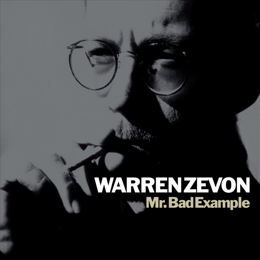 Mr. Bad Example cover art