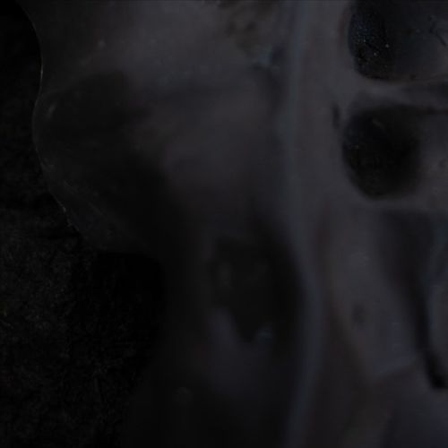 Evolve cover art