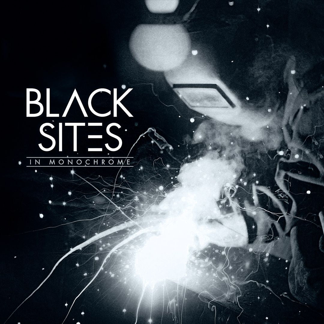 In Monochrome cover art