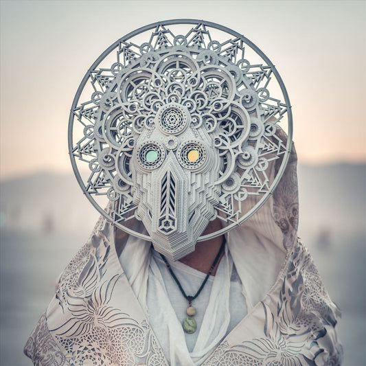 Architect cover art