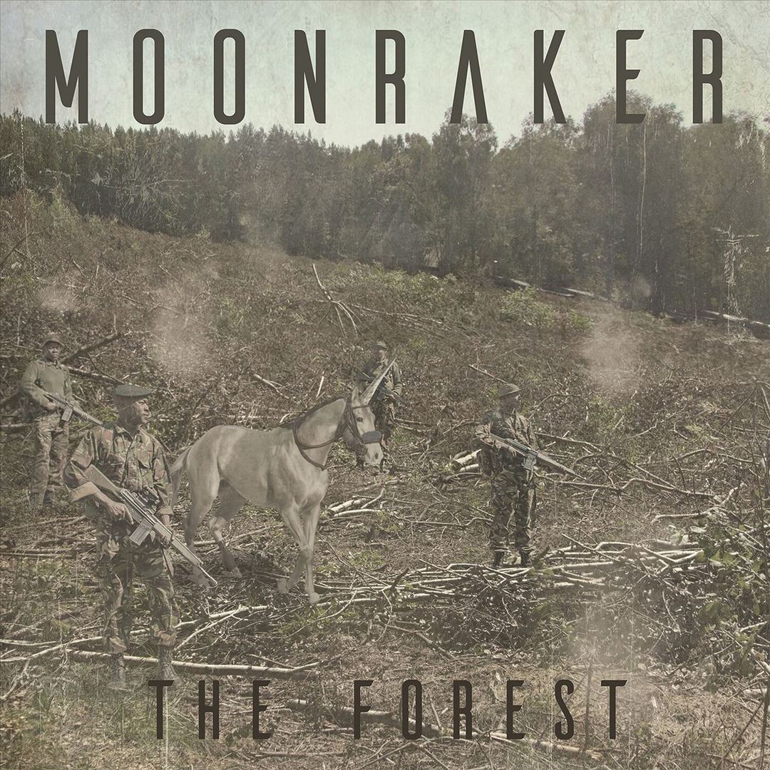 Forest cover art