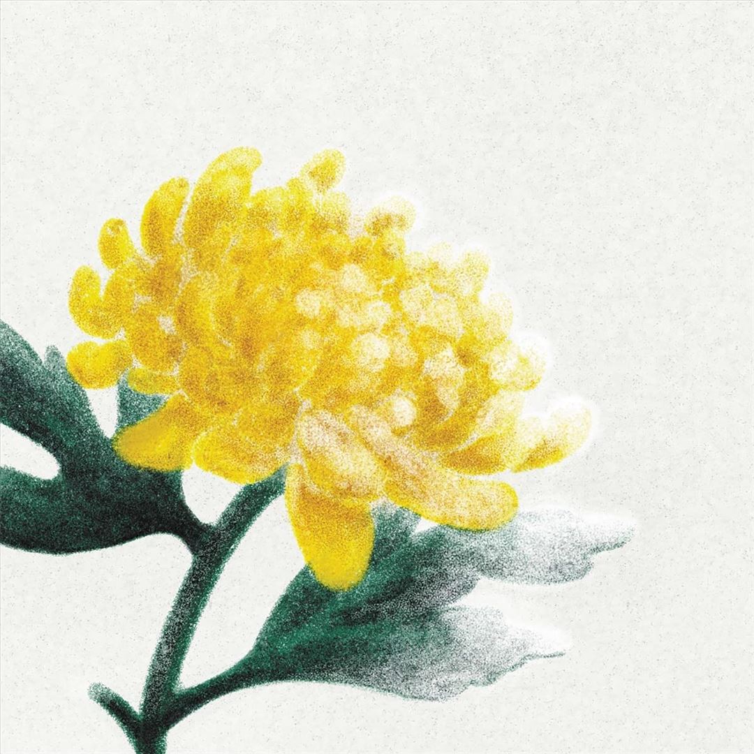 Spring Snow cover art