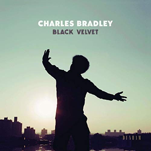 Black Velvet cover art