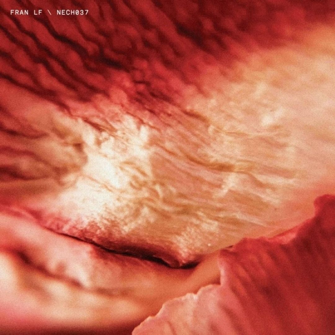 Tech037 cover art
