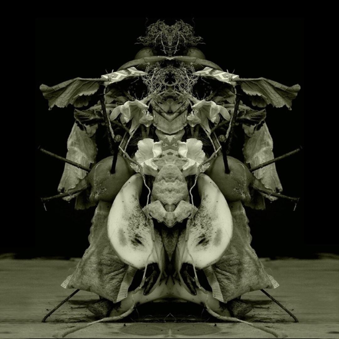 Uzu Oto cover art