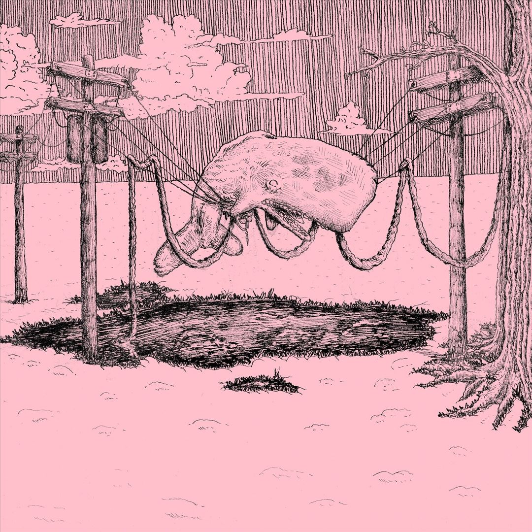 Whaler cover art