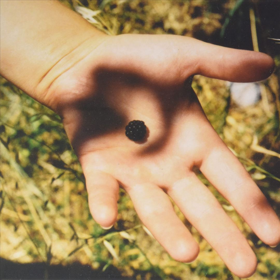 Soft Landing cover art
