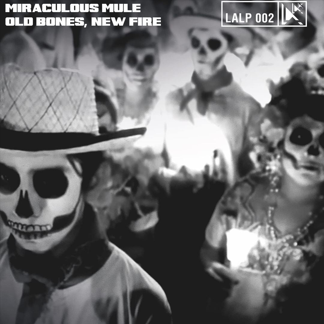 Old Bones, New Fire cover art